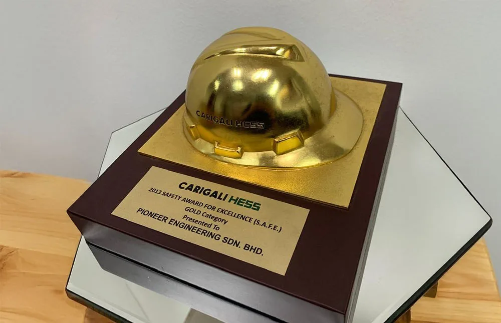 CHESS 2013 S.A.F.E AWARD (GOLD CATEGORY)